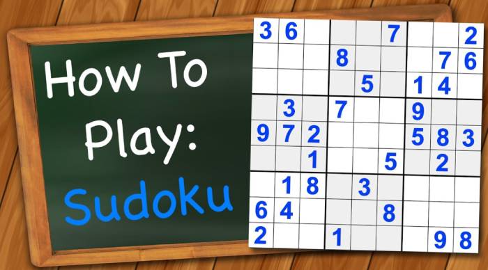 How to Play Sudoku Game